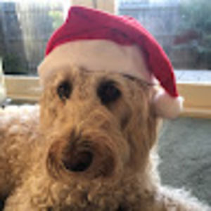 Meet your Posher, Eloise